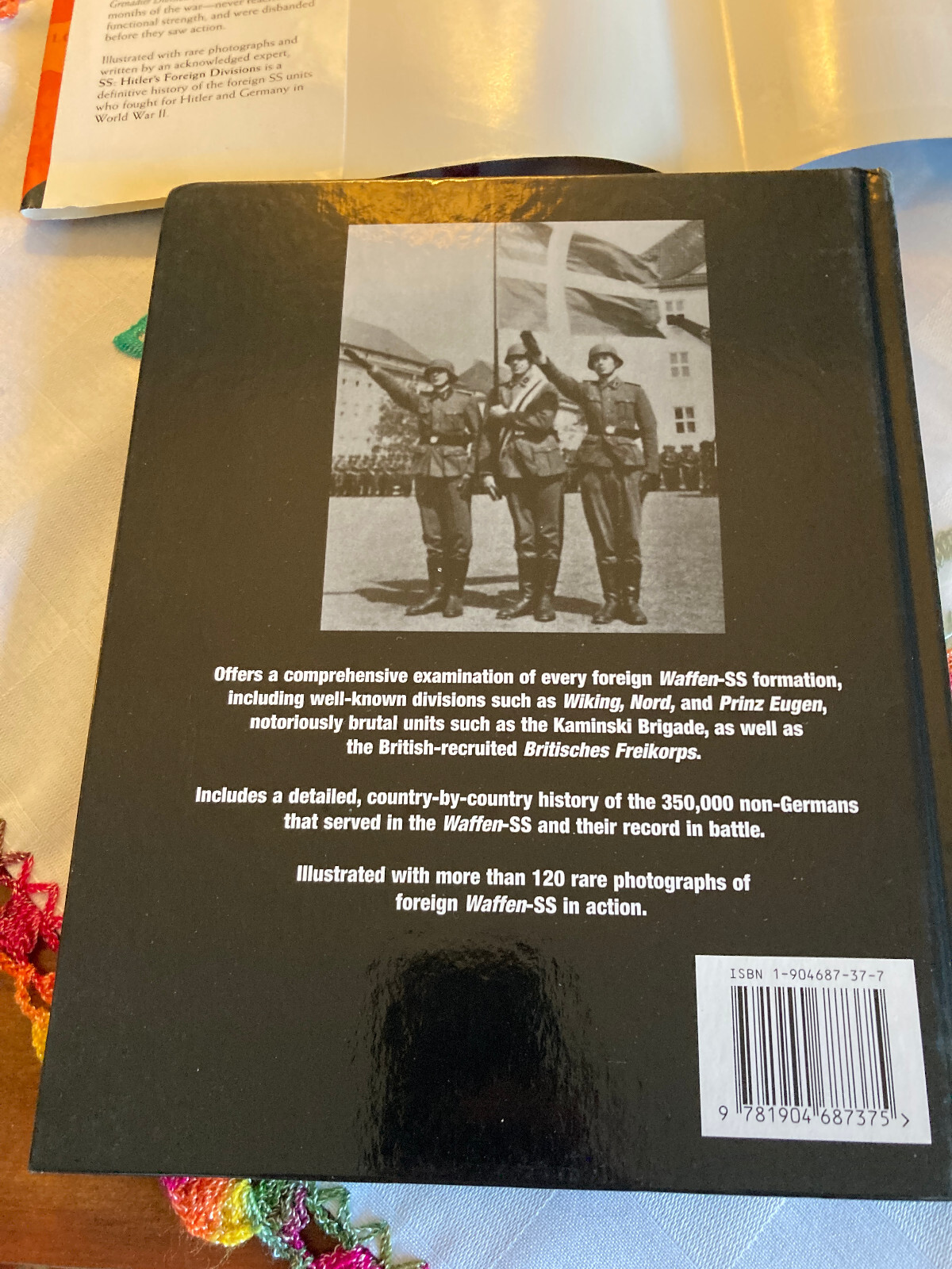 CHRIS BISHOP Hitler&rsquo;s Foreign Divisions 1940 SS Volunteers ©2005 Amber Books Ltd