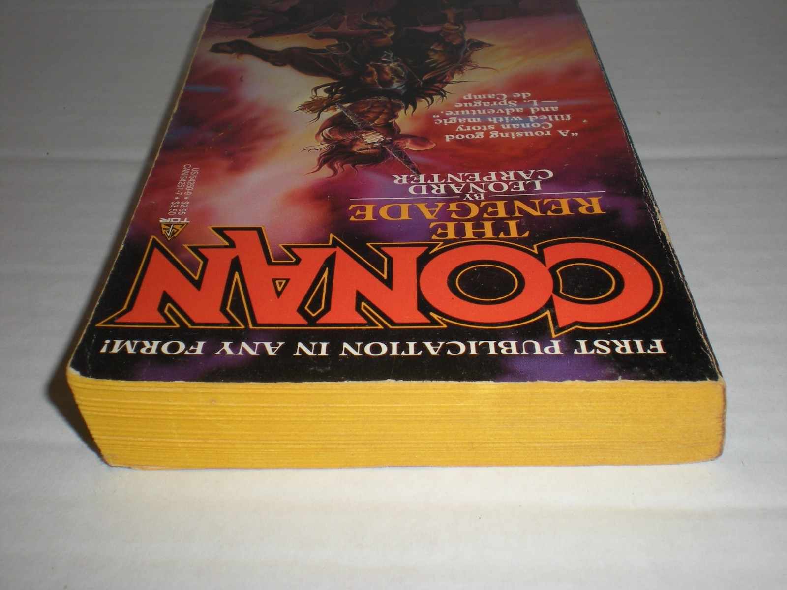Conan The Renegade by Leonard Carpenter Barbarian Fantasy Paperback 1986 vtg
