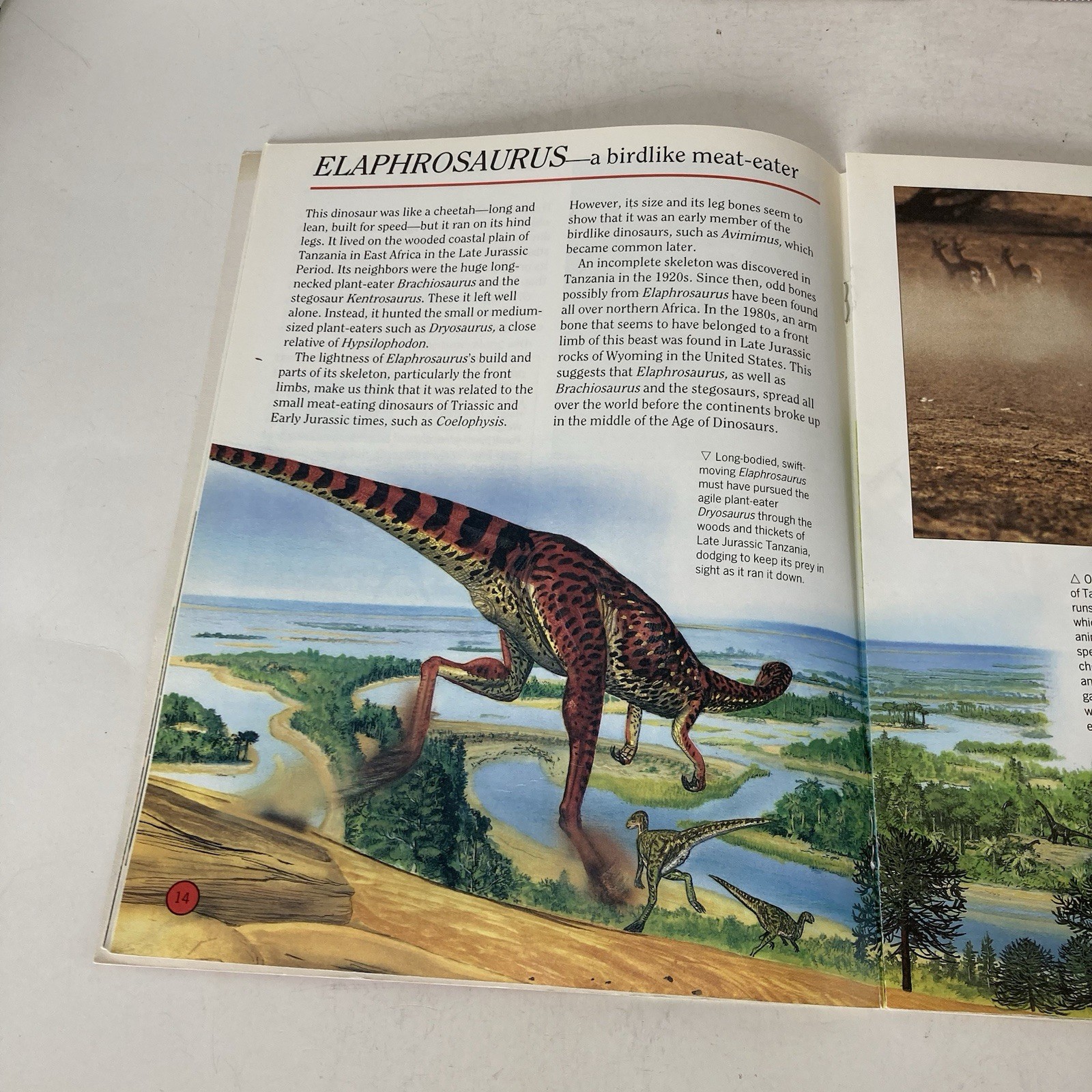 Vintage 1993 DINOSAURS Dougal Dixon Lot of 5 Highlights Books for Children