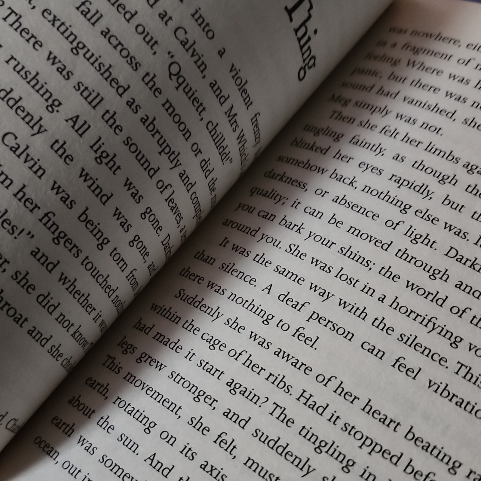 Square Fish A Wrinkle in Time Quintet Madeleine L&rsquo;Engle Perfect 2007 Time Travel
