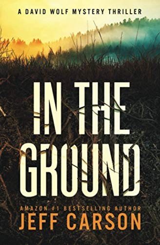 In the Ground David Wolf Myste – VERY GOOD