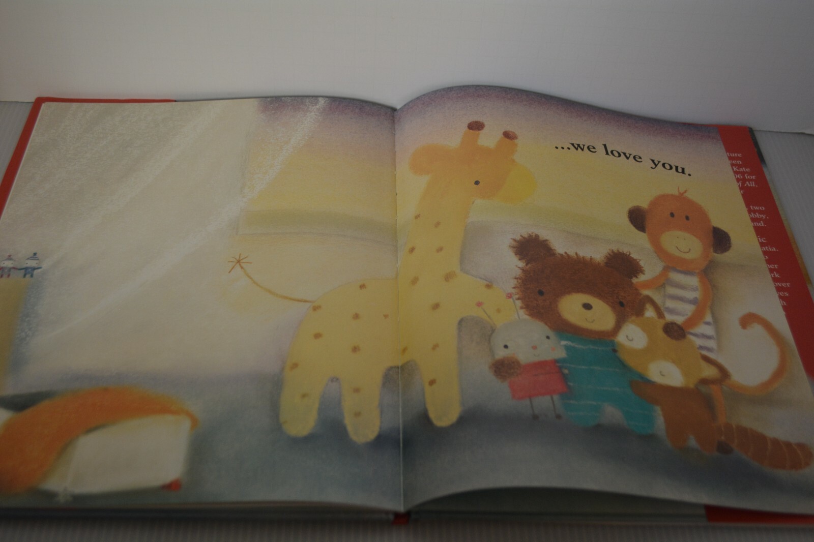 We Love You Children&rsquo;s Picture Book David Conway Hardcover Kids Story Time