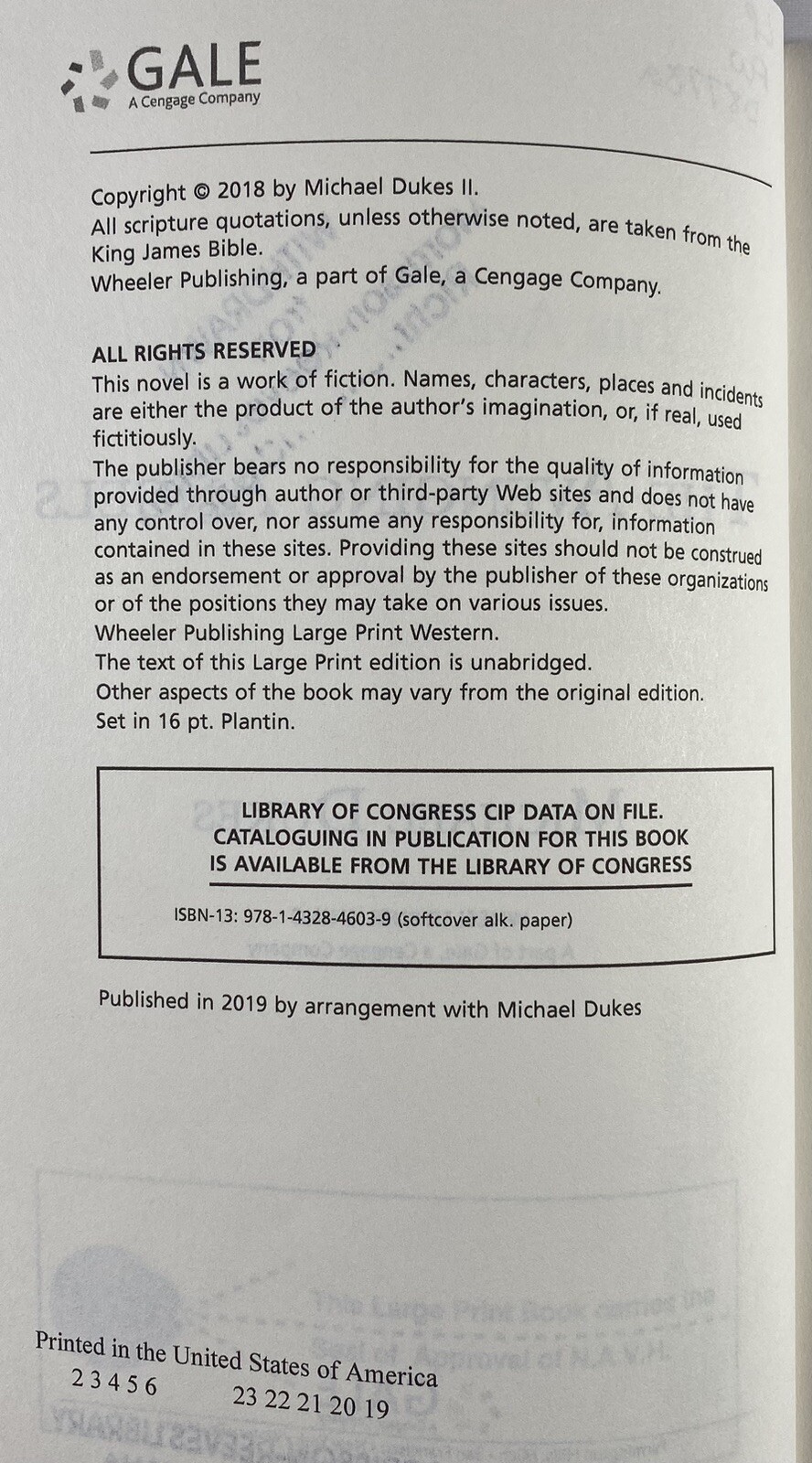 The Avenging Angels Michael Dukes Paperback Ex Library Large Print
