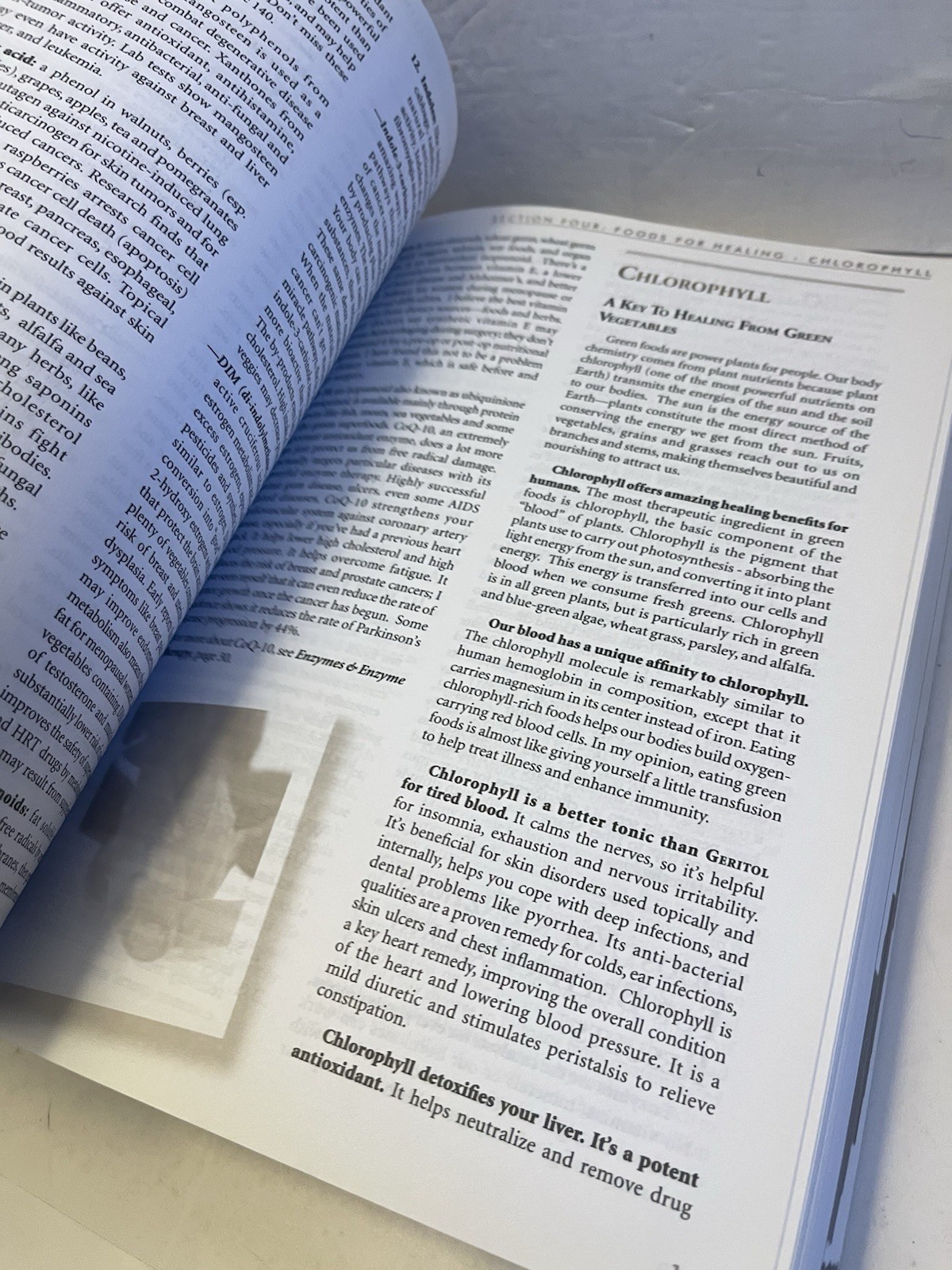 Healthy Healing by Linda Page 14th Ed 2011 Softcover Natural Health Supplements