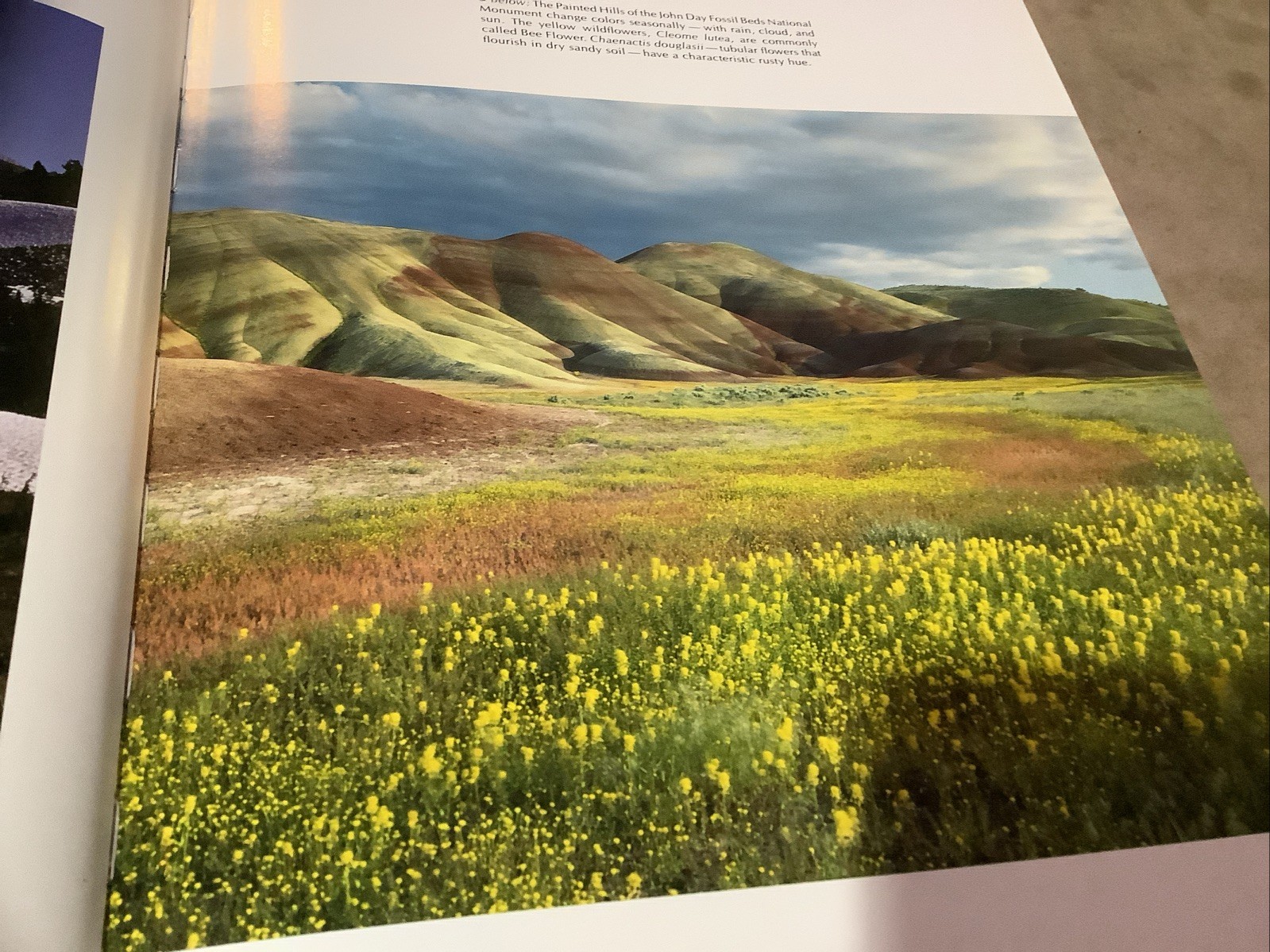 Oregon III (Book) Ray Atkeson, Text By Richard Ross, 1987, 18th printing VGUC.