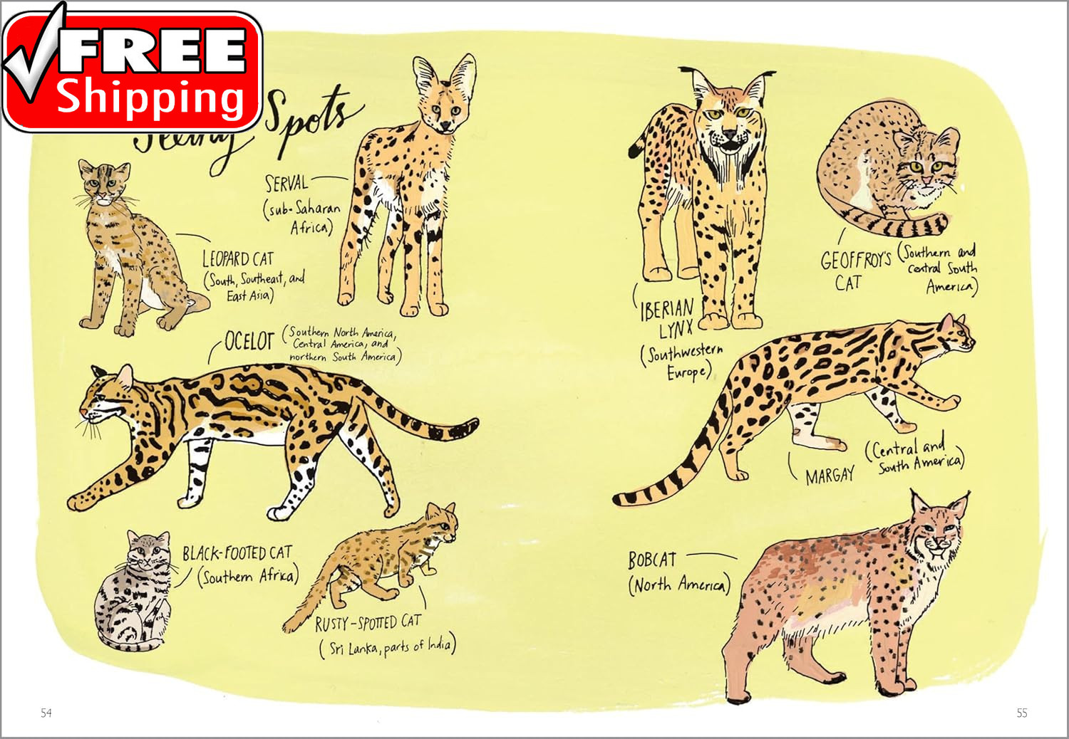 Wildlife Anatomy: the Curious Lives & Features of Wild Animals around the World