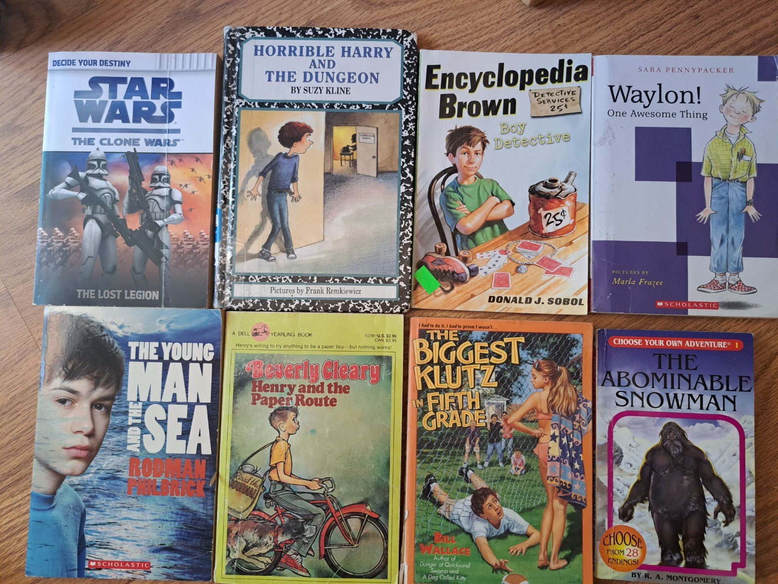 BOYS Chapter Books Lot of 8 ~ 8-12 Years Old – Classroom Library Homeschool