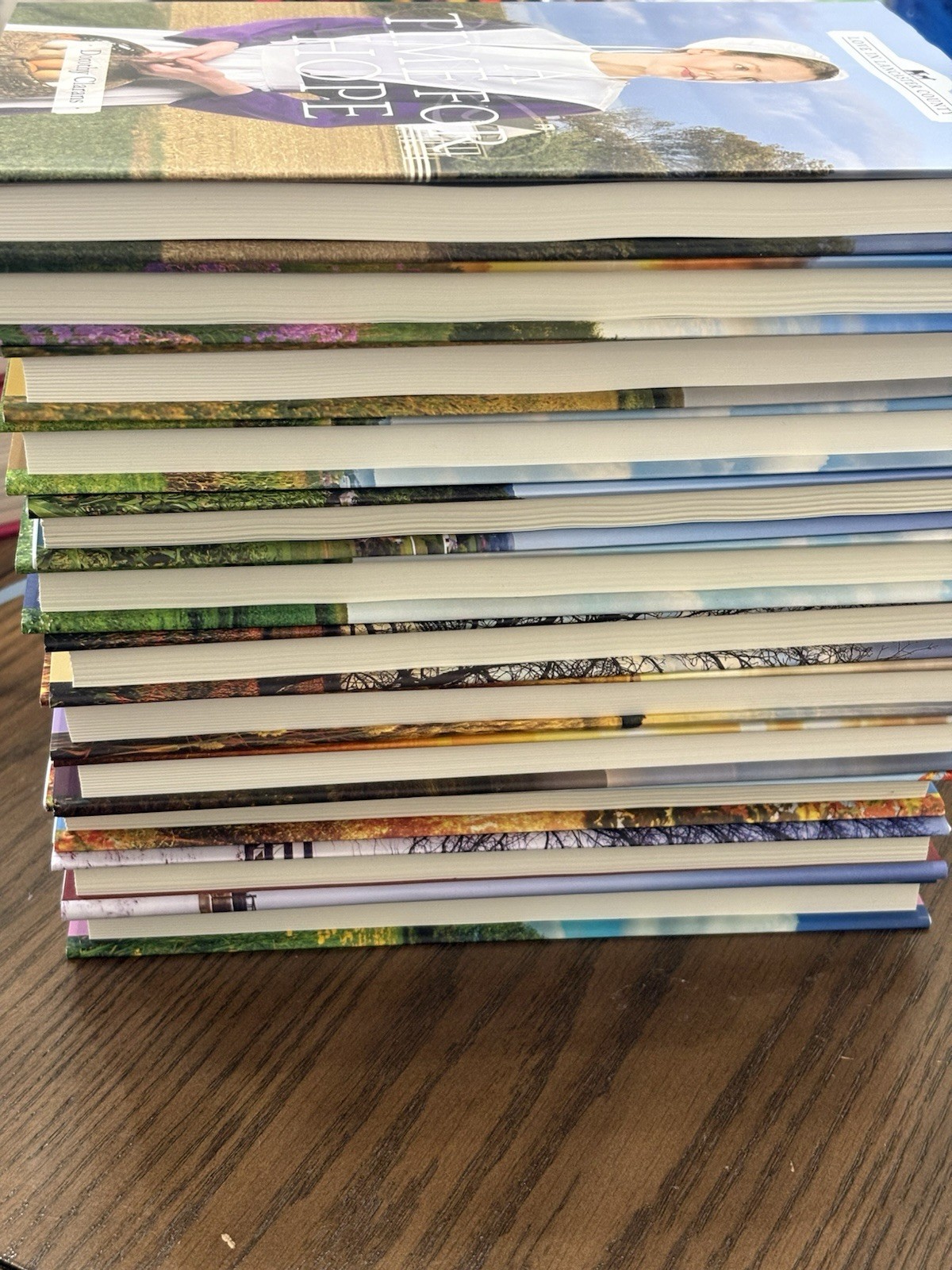 Annie&rsquo;s Love In Lancaster County *COMPLETE HARDCOVER SET* [Lot of 12] Amish Love
