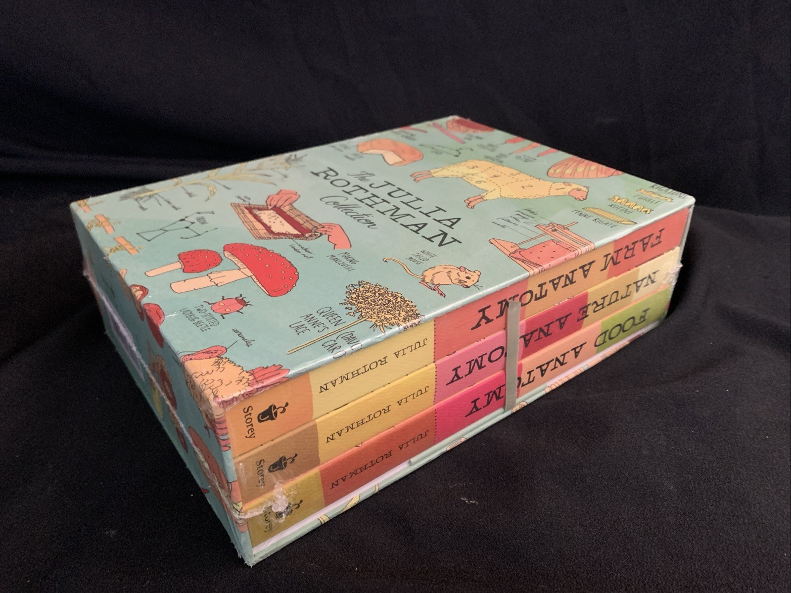 CLEAN NEW SEALED FRESH! Julia Rothman Collection 3 Book Box Set NATURE FARM FOOD