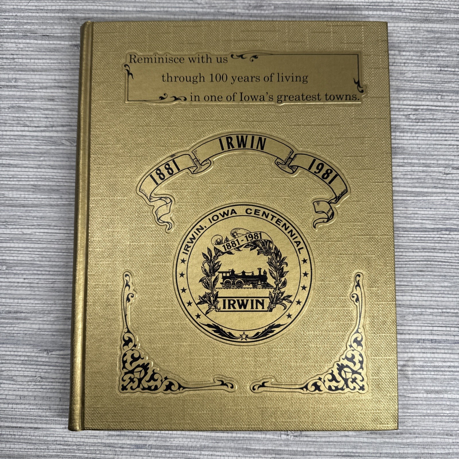 Irwin Iowa Centennial 1881-1981 Historical Book
