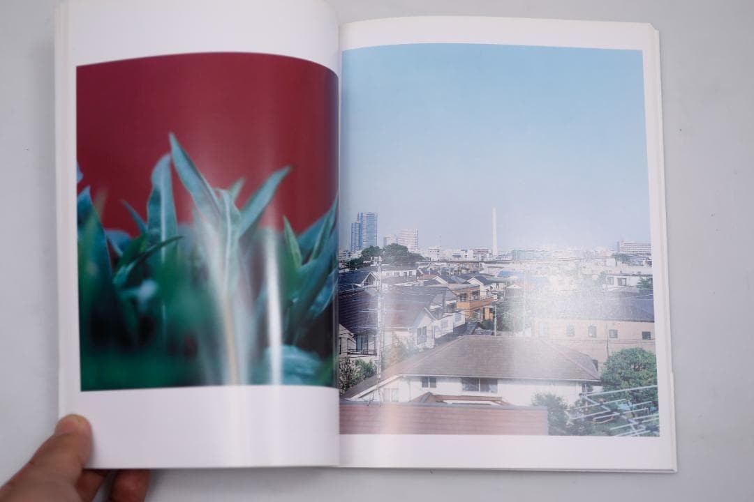 Tatsuya Kawai Photobook Blue Garden 24cm PaperBack Japanese Literature