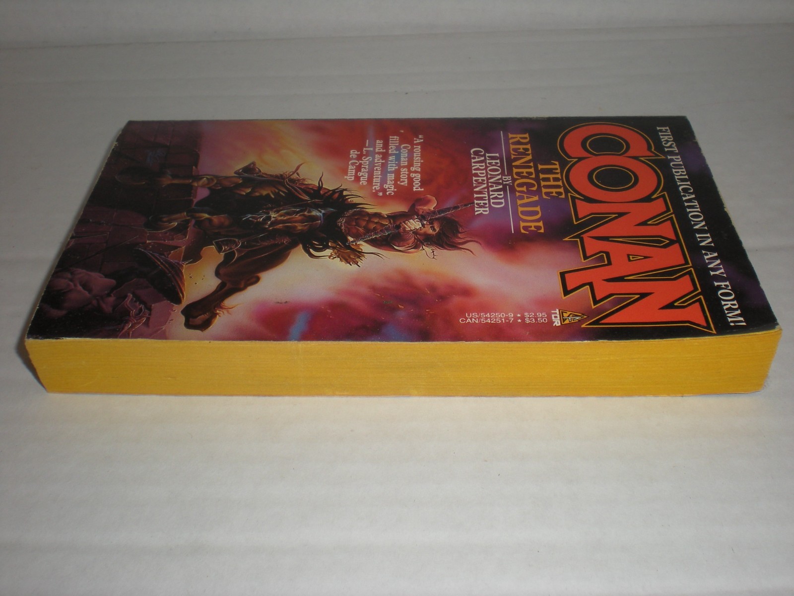 Conan The Renegade by Leonard Carpenter Barbarian Fantasy Paperback 1986 vtg