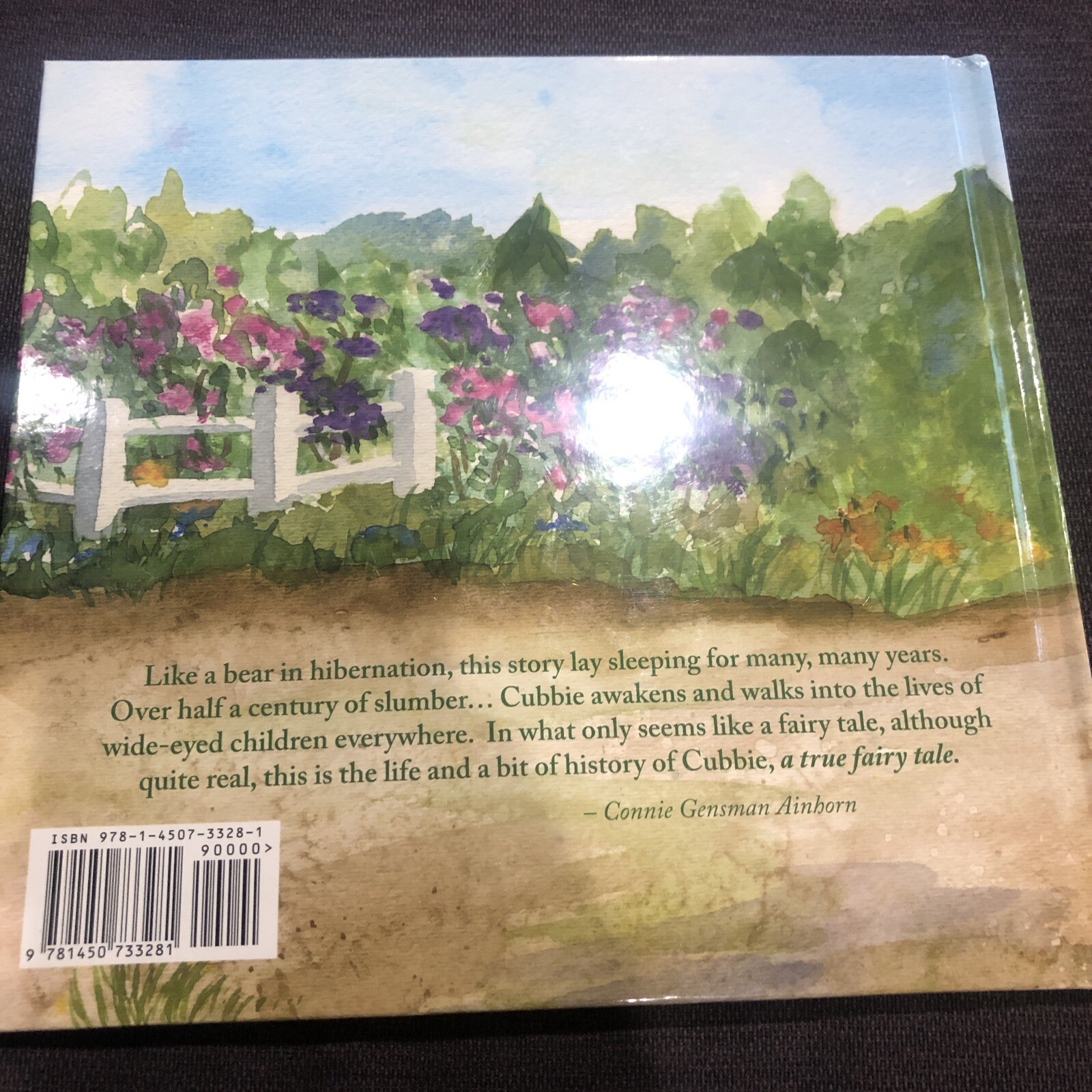 Cubbie the Mackinac Island Bear by Meloche and Angeli (2010, Trade Paperback)