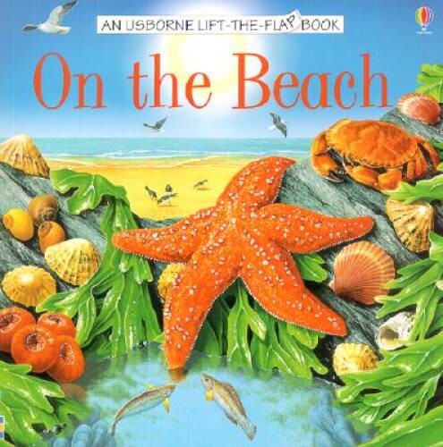 On the Beach (Usborne Lift-the-Flap Book) – Paperback By Smith, Alastair – GOOD