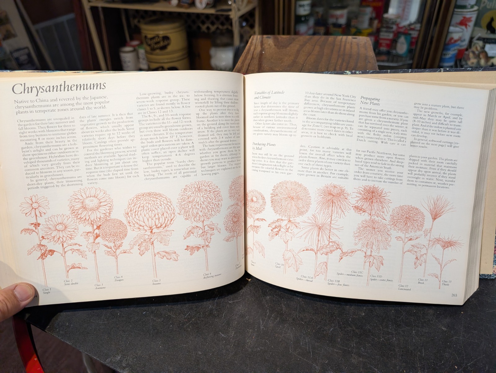 Original 1978 Reader&rsquo;s Digest Illustrated Guide To Gardening 672 Pages