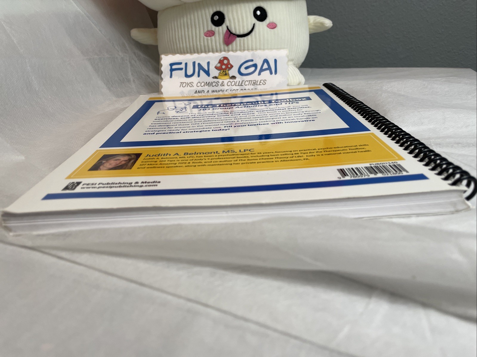 103 Group Activities and TIPS [Treatment Ideas & Practical Strategies] Spiral