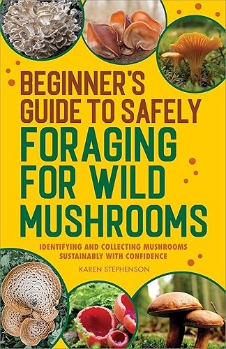 Beginner&rsquo;s Guide to Safely Foraging for Wild Mushrooms: Identi…