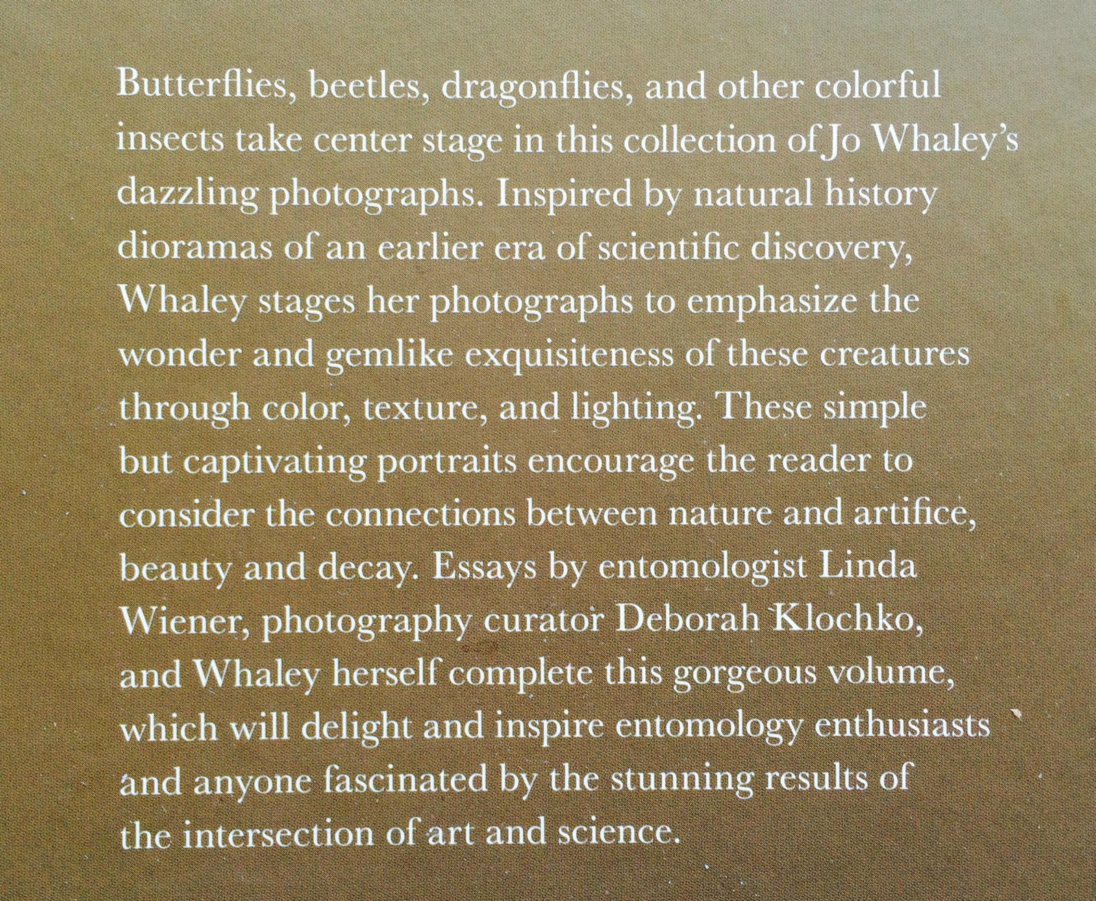 2008 THEATER of INSECTS Jo Whaley hb/128pp/ART – BUTTERFLIES – INSECTS – UNIQUE