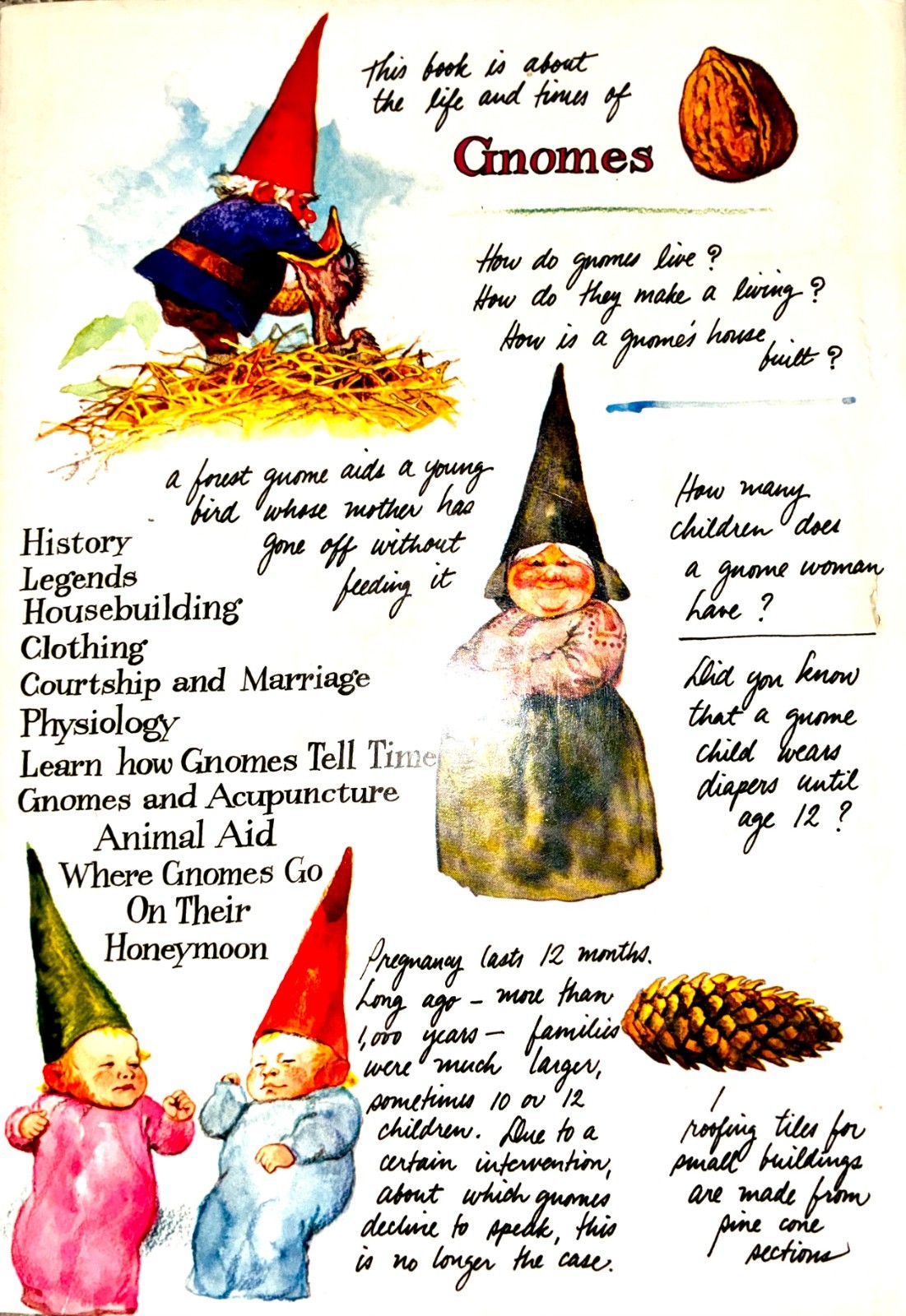 Gnomes Wil Huygen Rien Poortvliet Vintage 1977 Hardcover Harry N Abrams