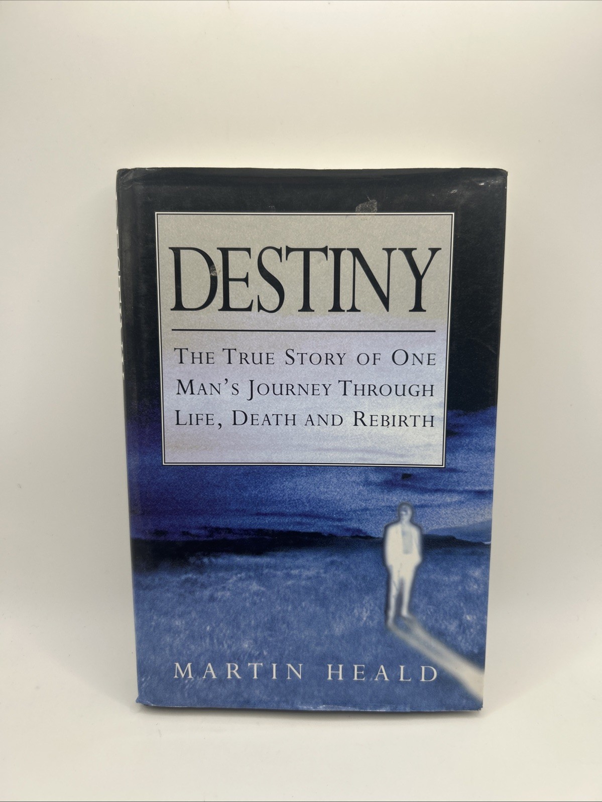 Destiny: The True Story of One Man&rsquo;s …, Heald, Martin