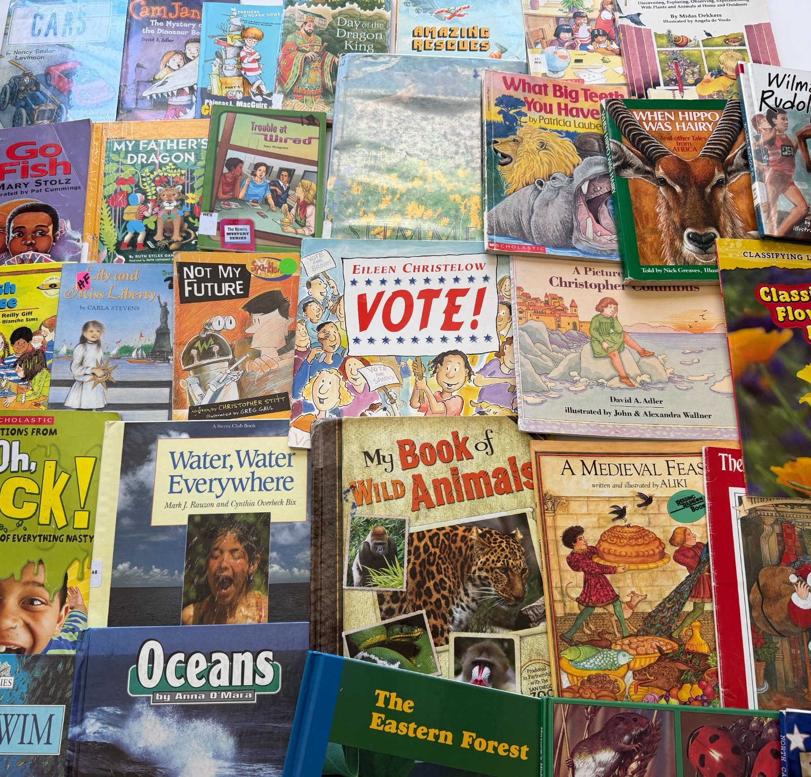 Lot of 10 Random Children&rsquo;s Books, Grades 2-3, Homeschool Library/Teacher Librar