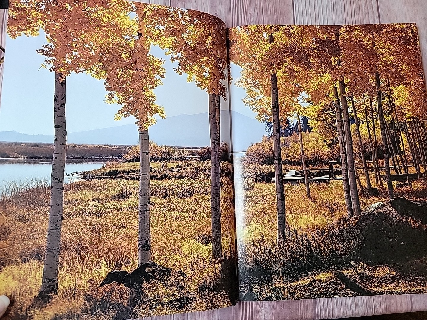 Oregon II Hardcover Large Table Top Book By Ray Atkeson Like New