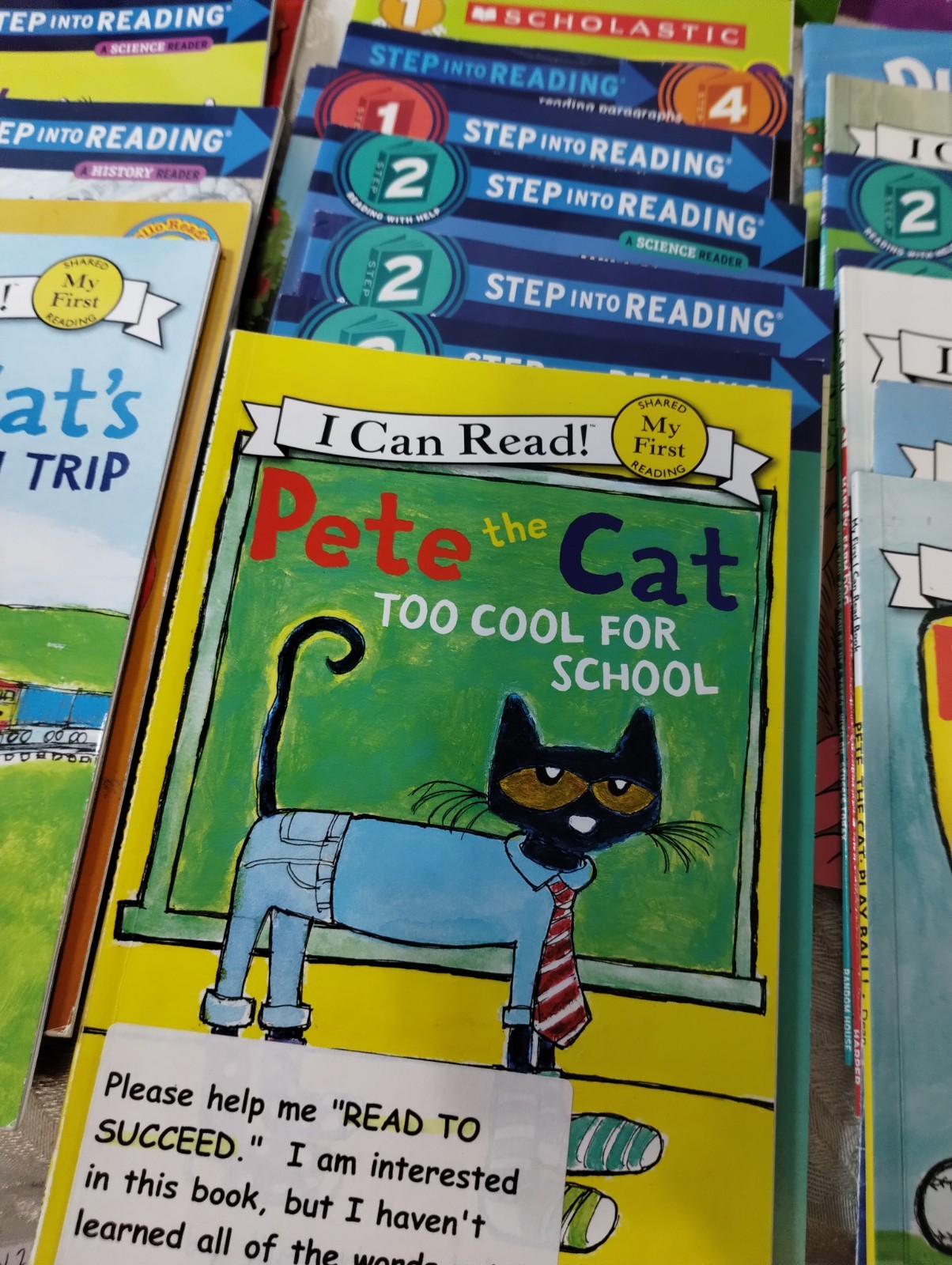 Lot Of 30 Early Beginnings Young Readers – Levels 1, 2 , 3