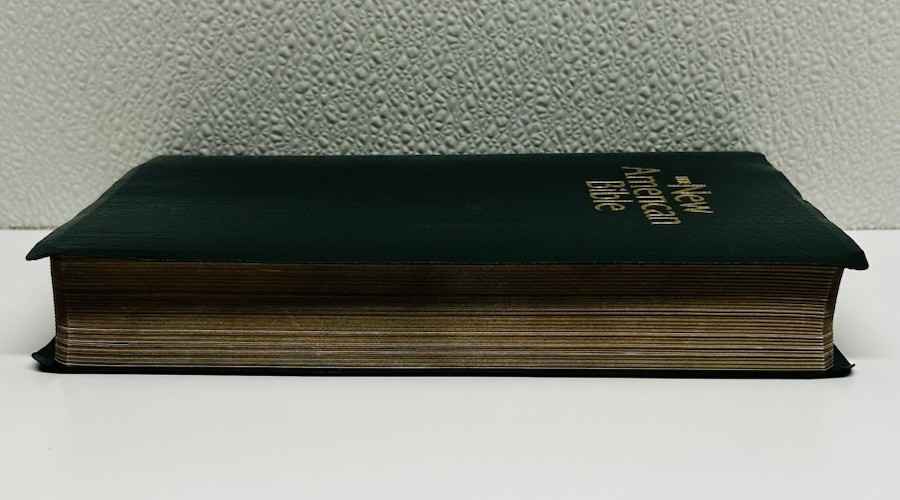 Green THE NEW AMERICAN BIBLE~Official Catholic World Press Bible book~c.2011
