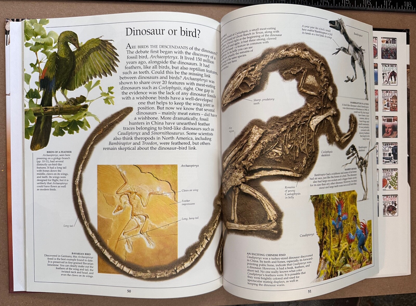 NORMAN: Dinosaur (DK Eyewitness Books) (DK Publishing, 2004)