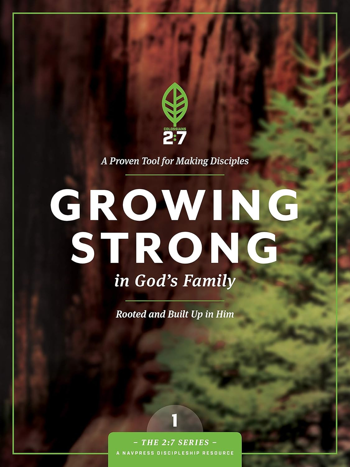 Growing Strong in God&rsquo;S Family: Rooted and Built up in Him (The 2:7 Series)