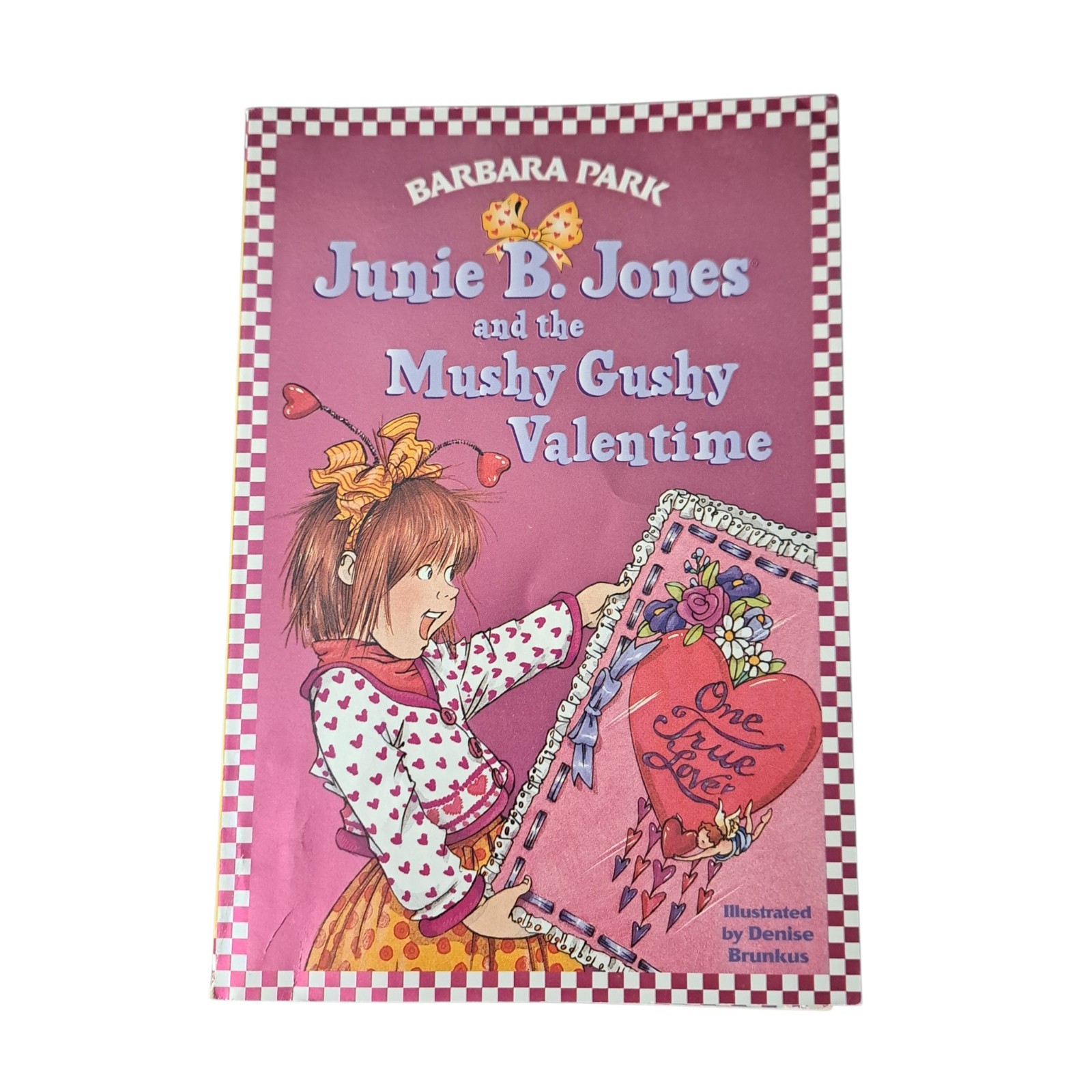 Junie B. Jones book set Several book titles large set Barbara Park first grade