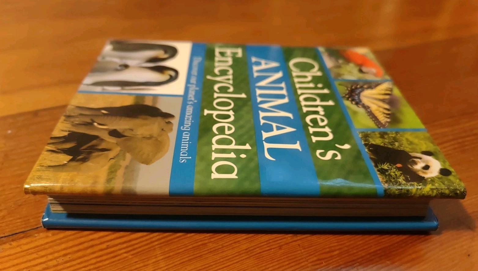 Mini Children&rsquo;s Reference Ser.: My First Animal Encyclopedia (2008, Hardcover)