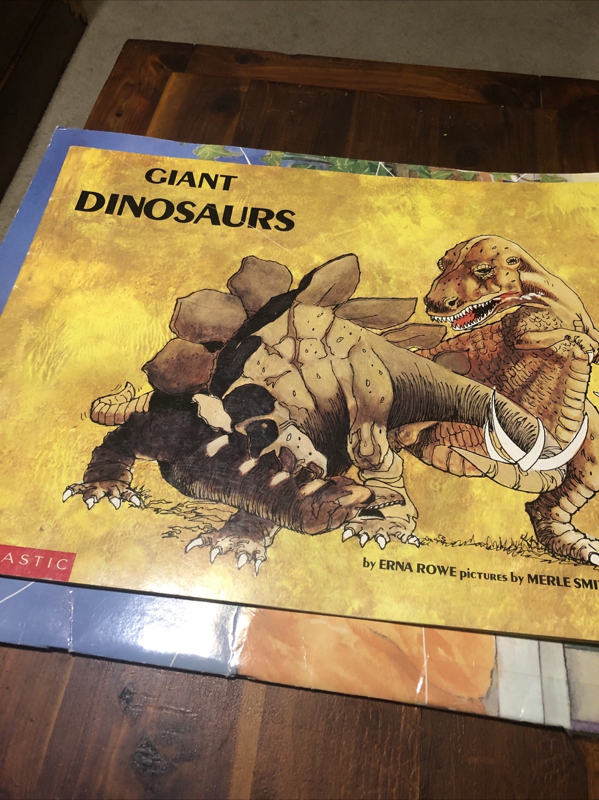 TEACHER BIG BOOKS – Many Different Book Titles – Only $18 Each – Free Shipping