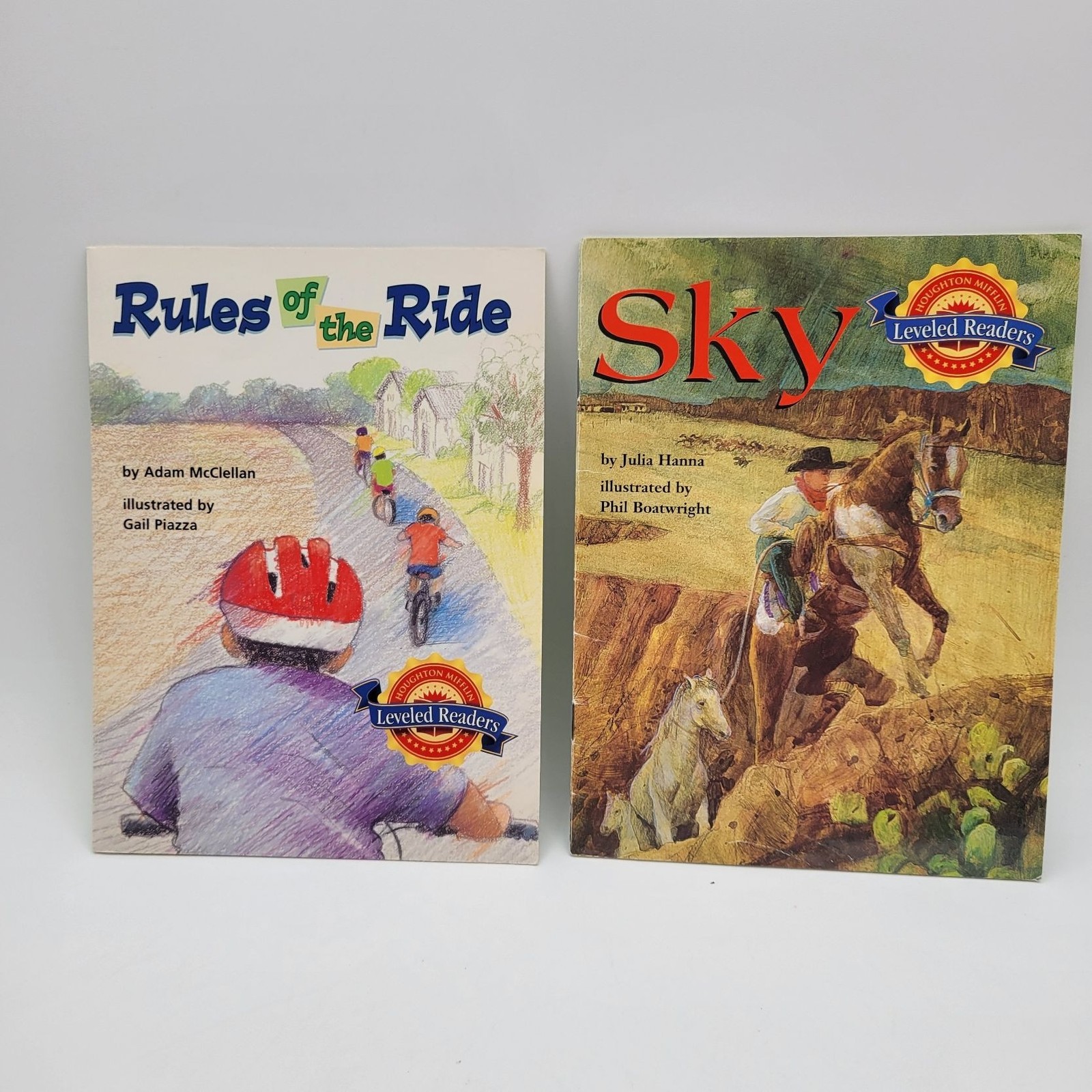 Houghton Mifflin Leveled Readers Huge Lot of 12 Booklet Books for Level 4 BK309