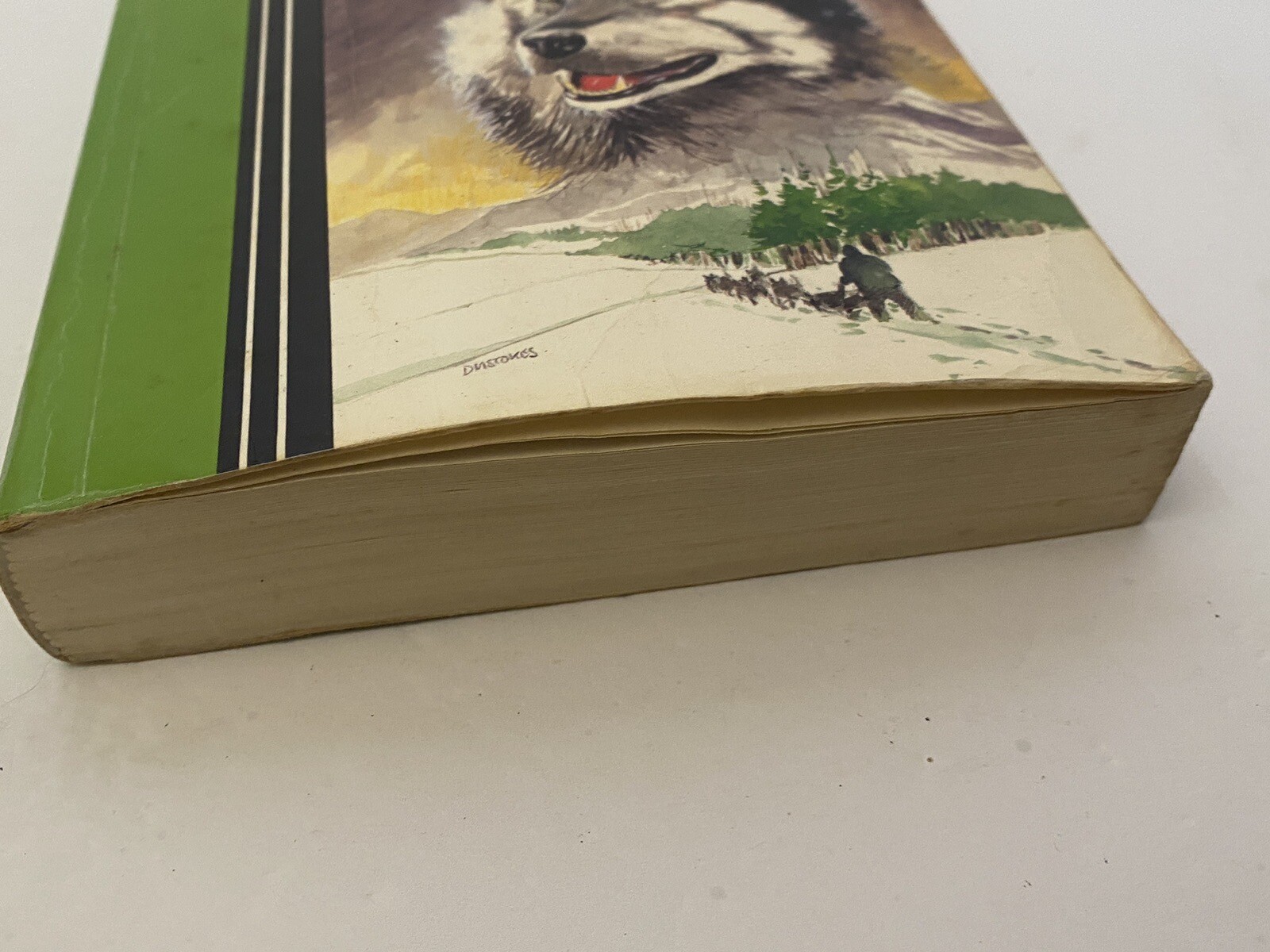 The North Runner R.D. Lawrence 1979 RARE HTF Large Print Different Cover