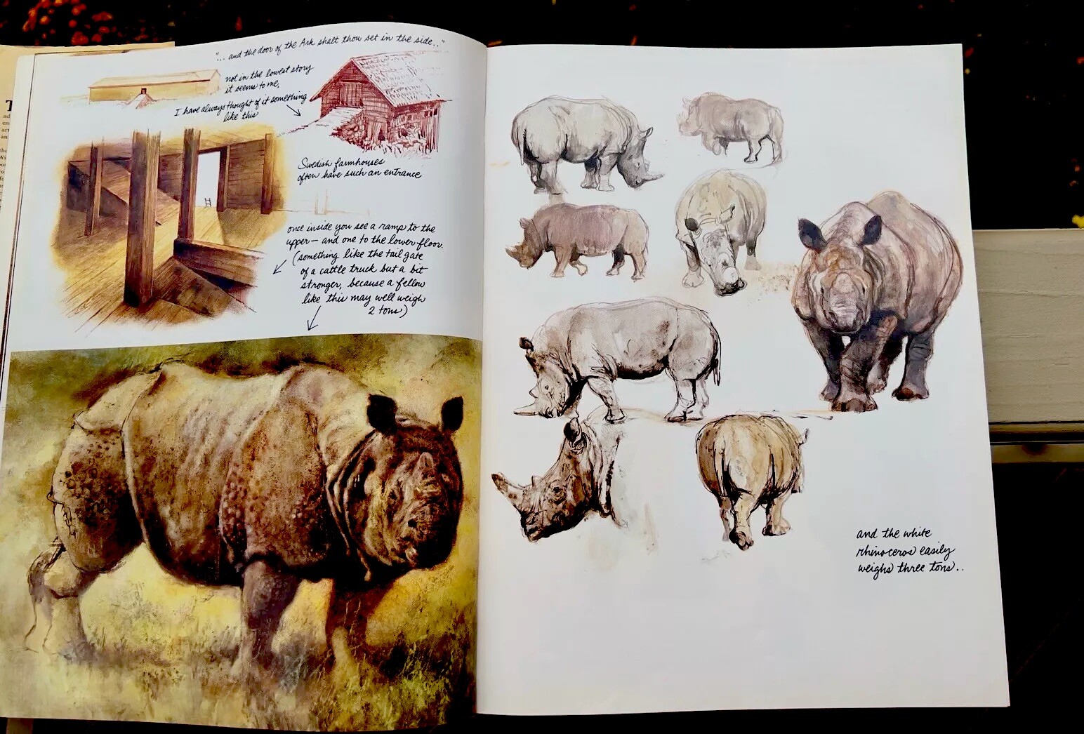 Noah&rsquo;s Ark Rien Poortvliet First US Edition Abrams 1986 Illustrated HC Oversized