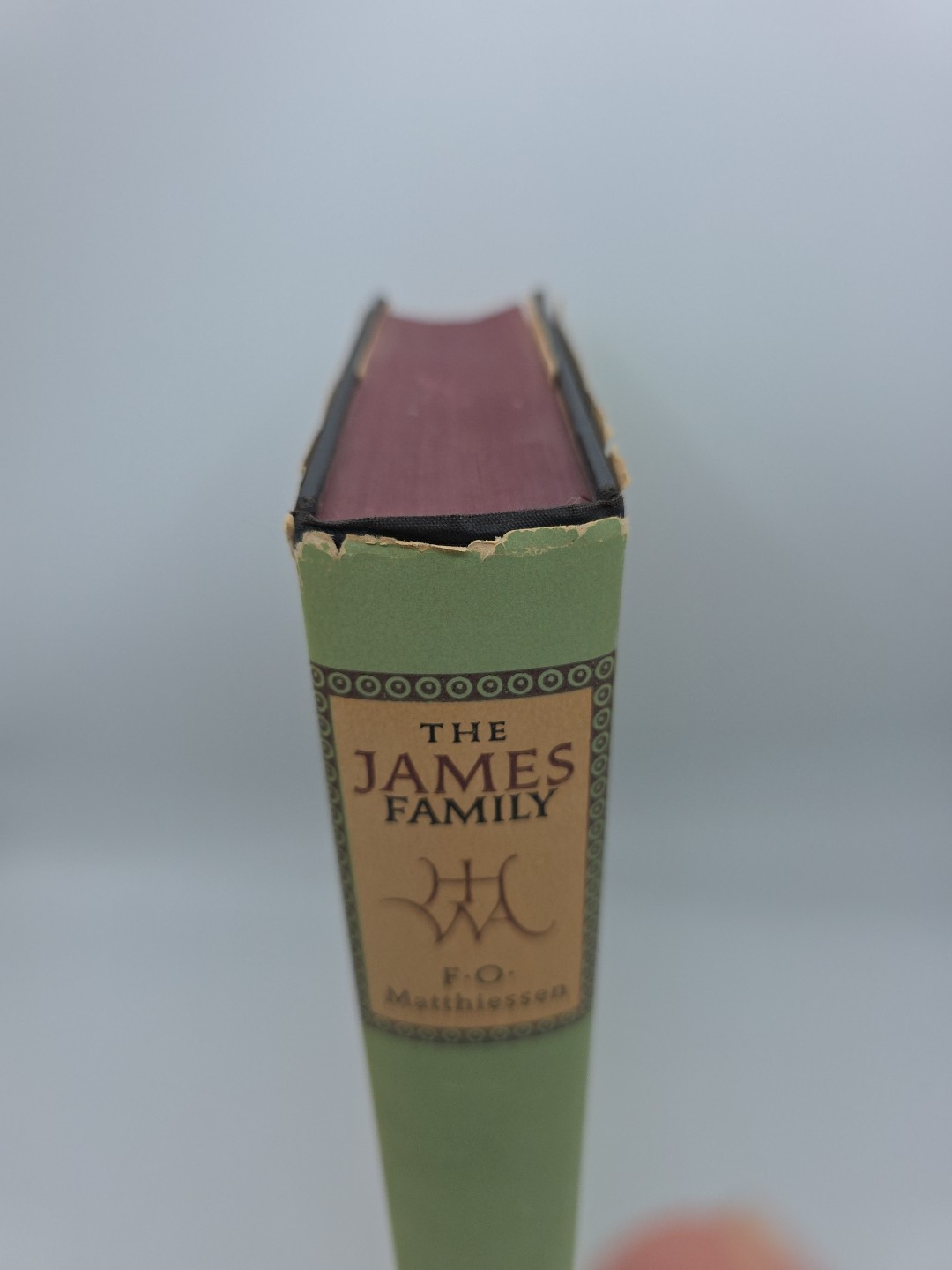 The James Family, A Group Biography by F.O. Matthiessen 3rd Printing (1961 HC)