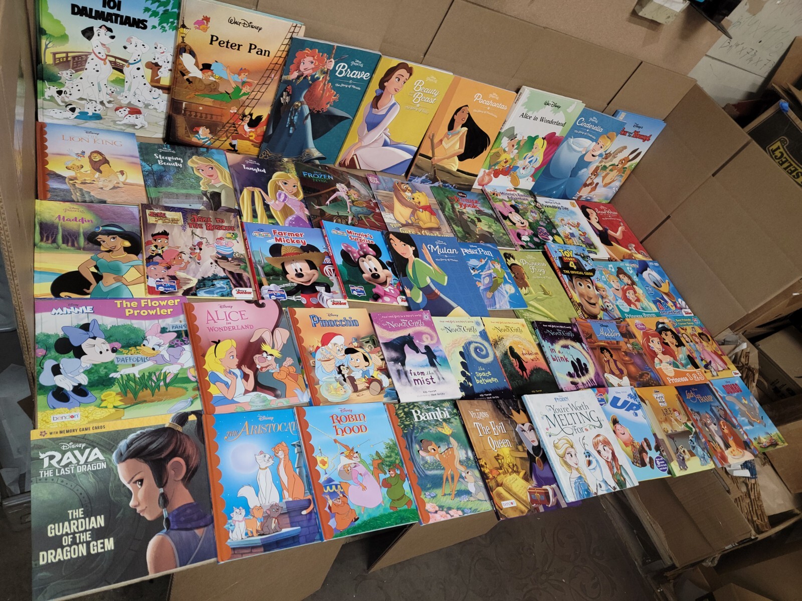 Lot of 10 Walt Disney Popular Cartoon Children Kids Books-MIX *RANDOM* UNSORTED