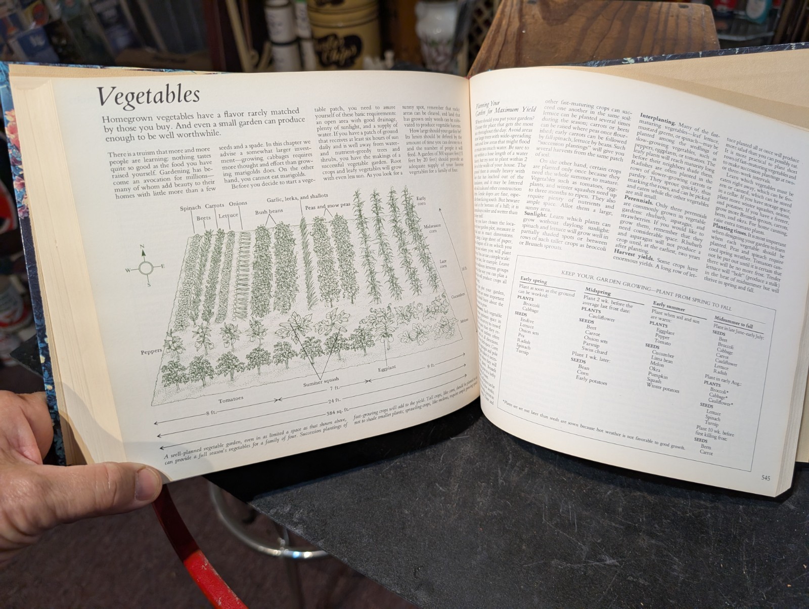 Original 1978 Reader&rsquo;s Digest Illustrated Guide To Gardening 672 Pages