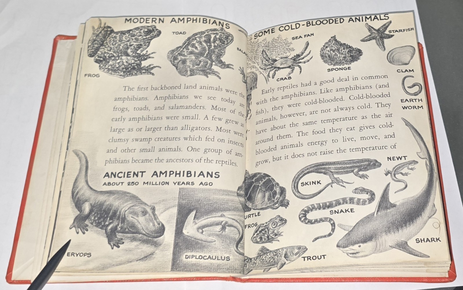 DINOSAURS True First Edition 1954 by Herbert S Zim Hardcover RARE School Library