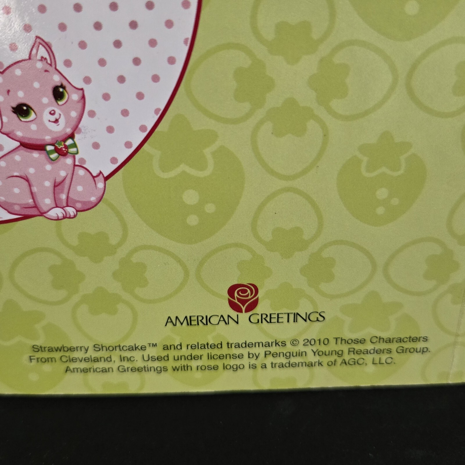 Lot Of 2 Strawberry Shortcake Books From 2010&rsquo;s