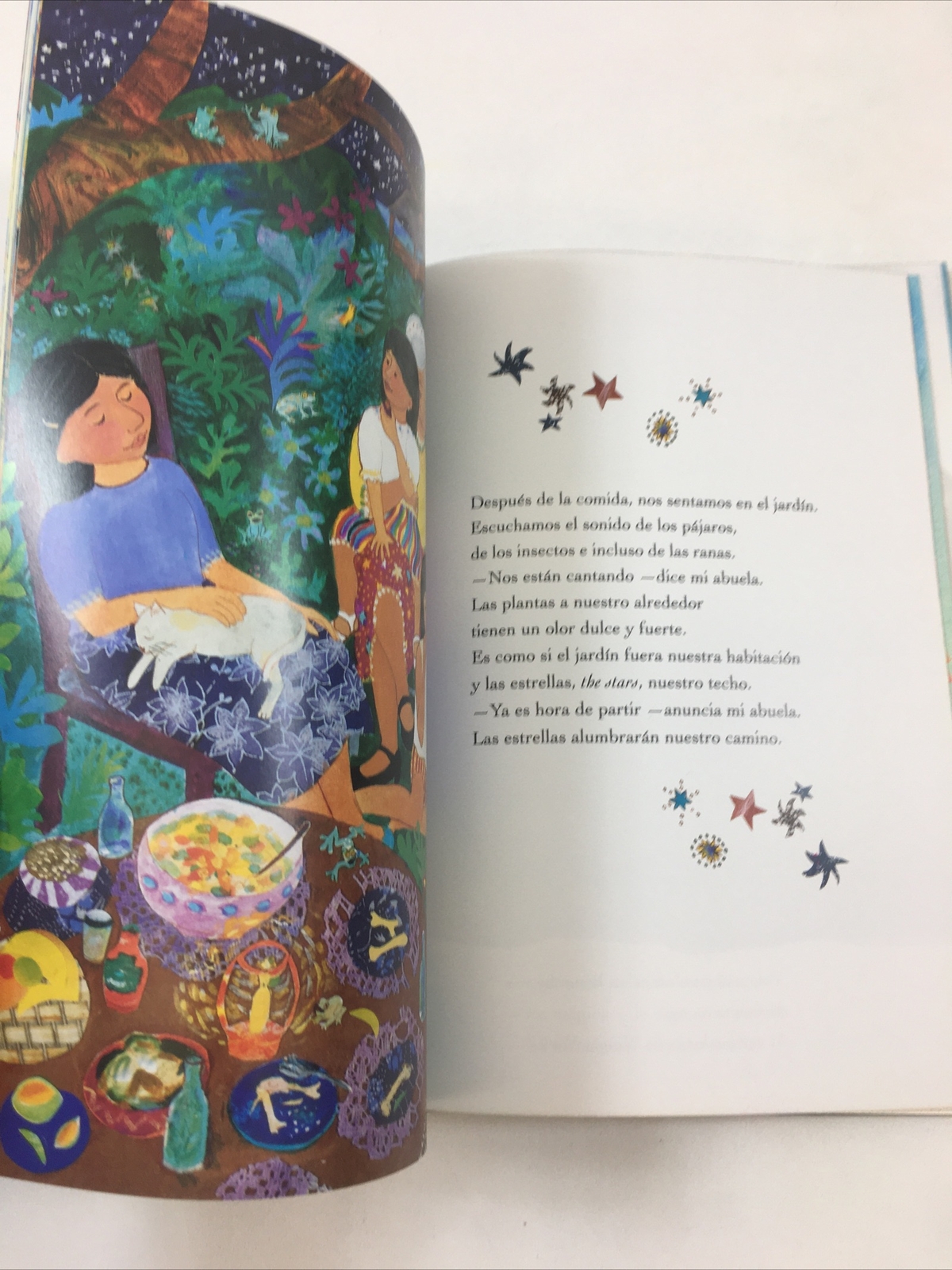 La Isla – Arthur Dorros (1995, Hardcover, Dust Jacket)
