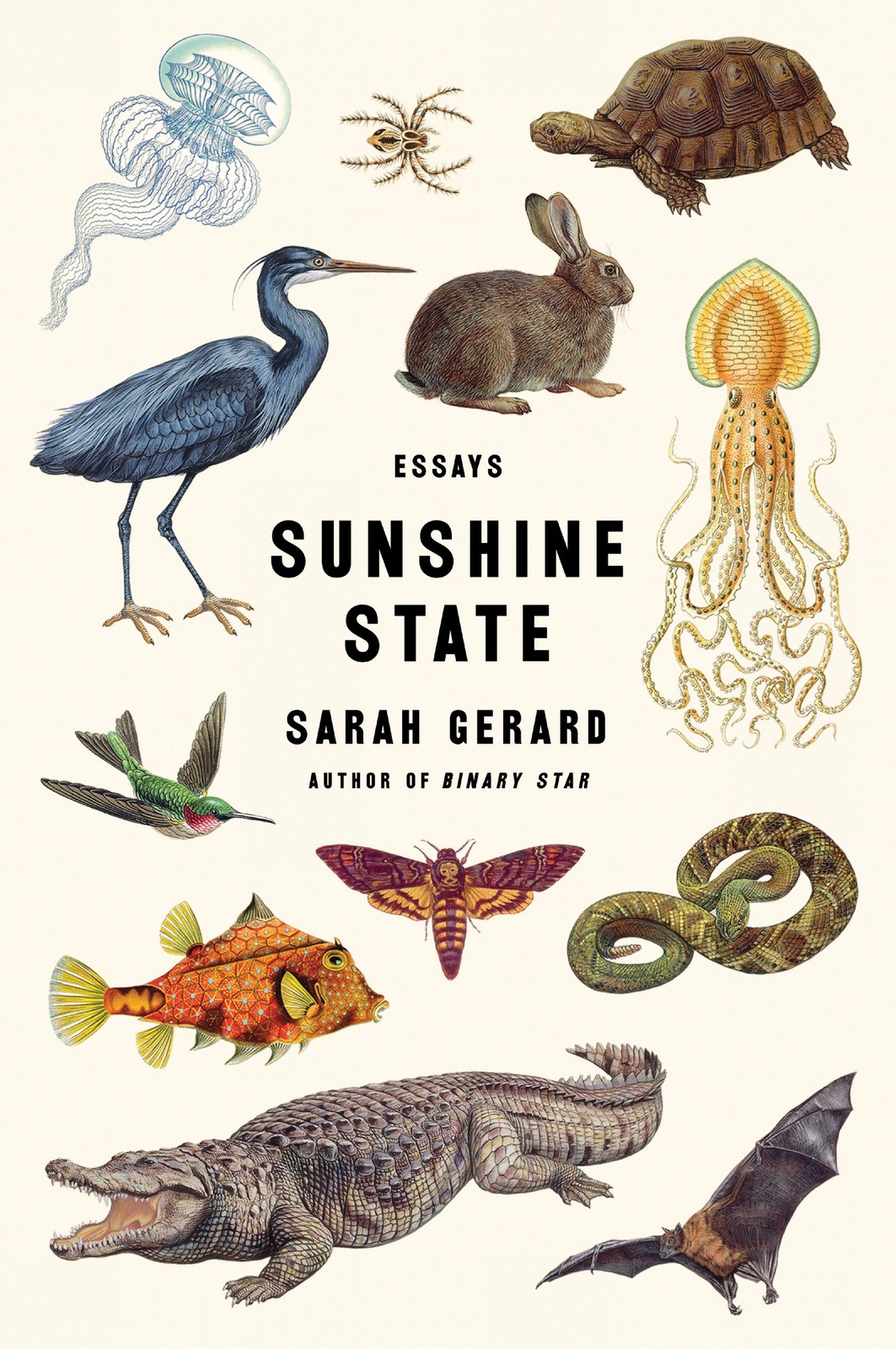 Sunshine State: Essays – A New York Times Best Book Blending Memoir and Jo…