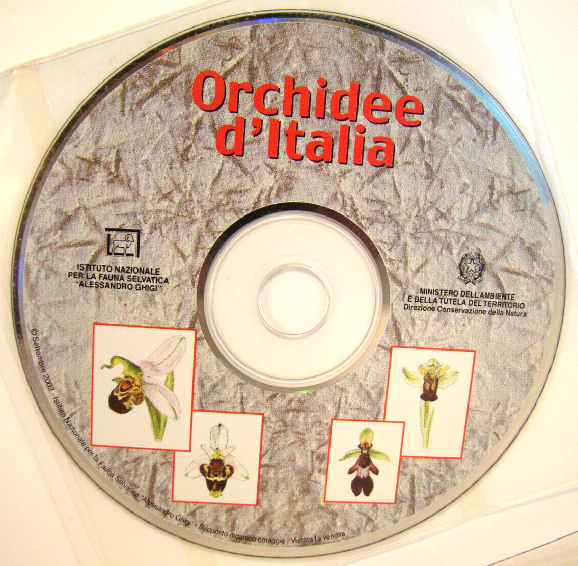 Orchidee d&rsquo;Italia ~2002 PB~ Rossi Floriculture Flowers Orchids of Italy & CD-ROM