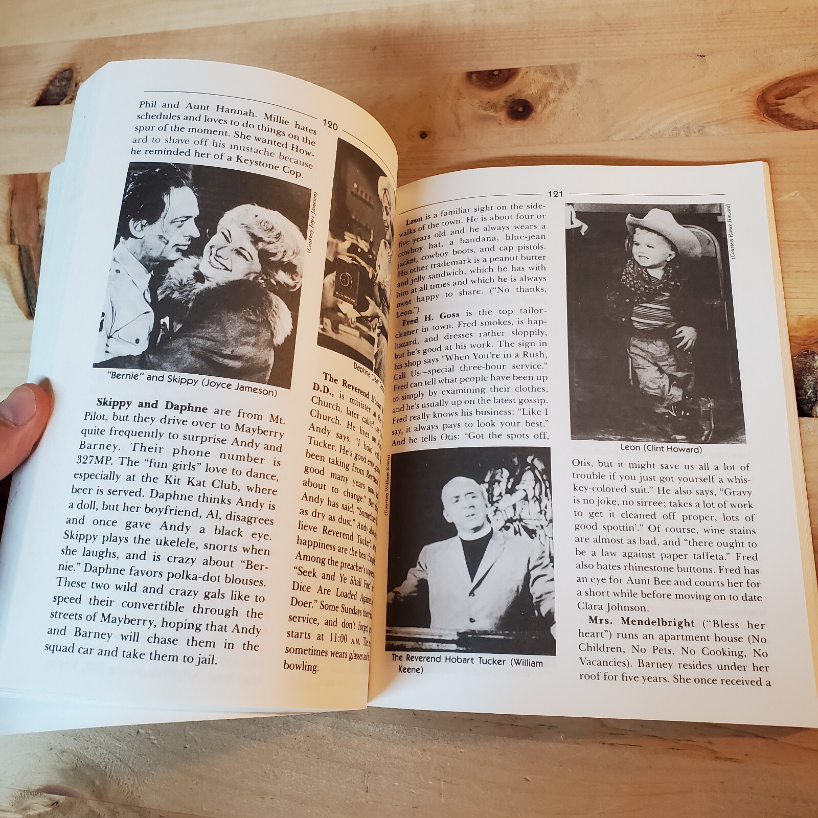 The Andy Griffith Show Book, Ken Beck & Jim Clark, St Martins Press 1985 NICE!