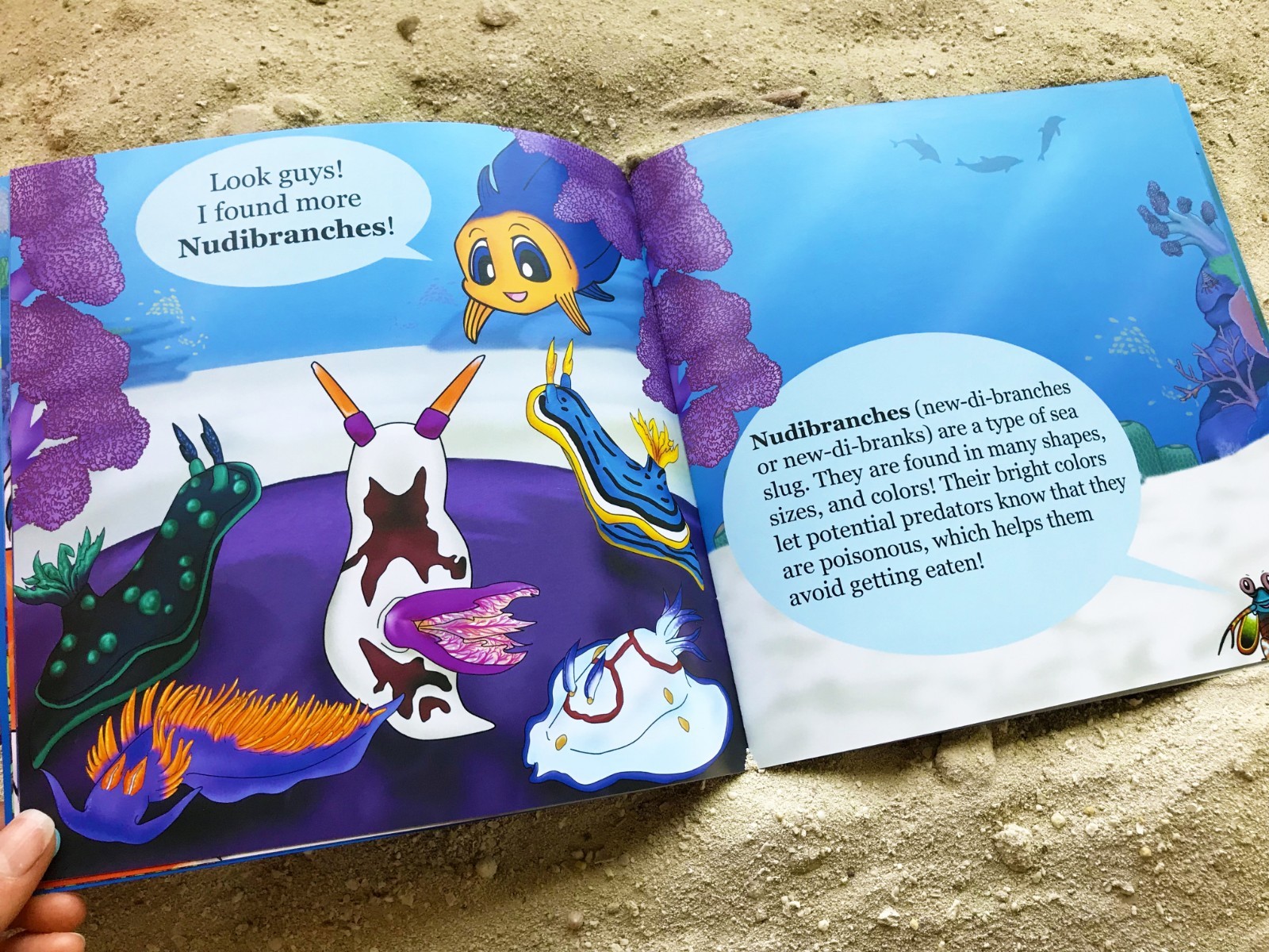 Reef Pals: Wonders of the Reef – NEW – Ocean Sea Coral Reef Kids Children&rsquo;s Book