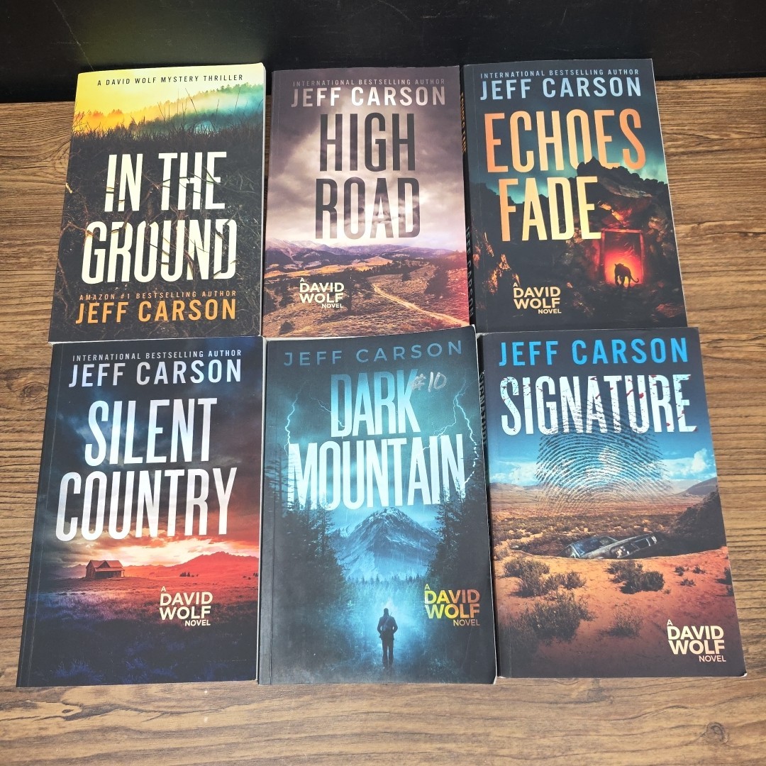 Lot of 12 David Wolf Paperback books by Jeff Carson