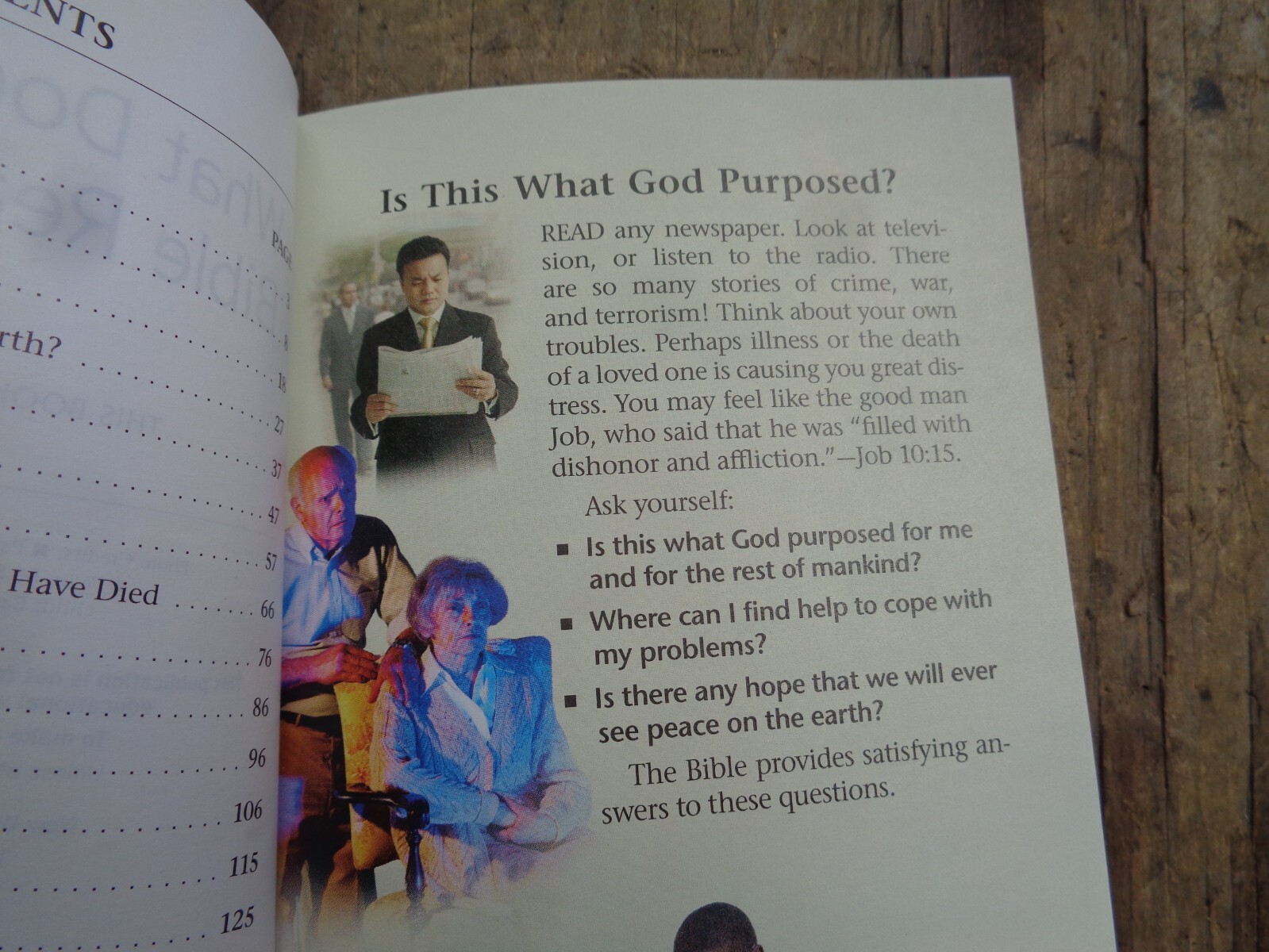 « WHAT DOES THE BIBLE REALLY TEACH? ». 2016. 223 pages. Paperback. Watchtower