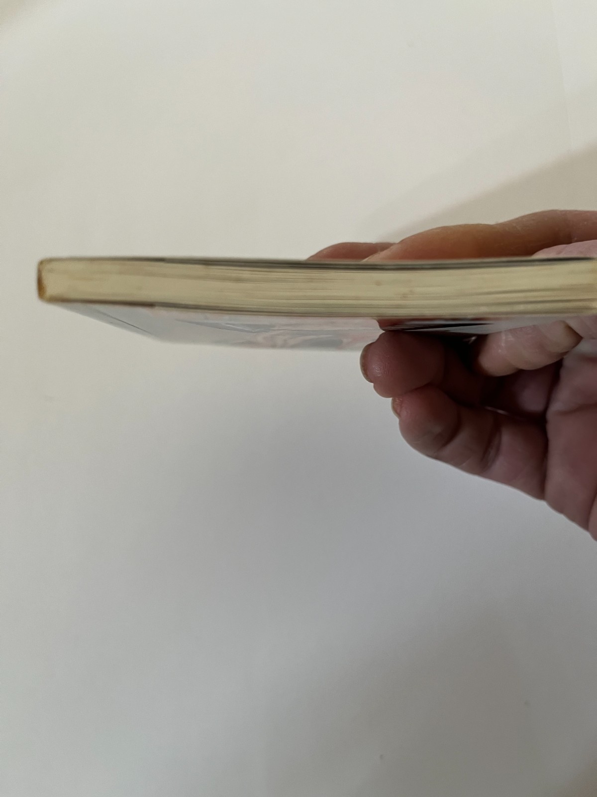 John Willie&rsquo;s Bizarre [Amuse-gueule]. Taschen Mini-Book. 1996.