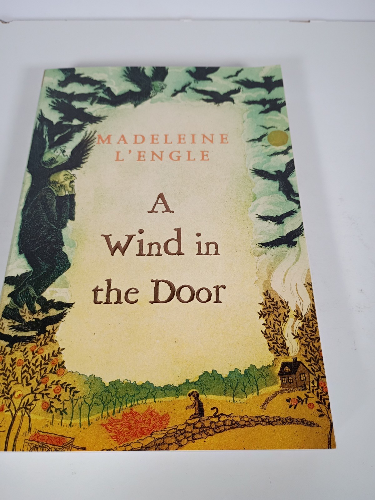 The Wrinkle in Time Quintet Madeleine L&rsquo;Engle 2012 Box Set Square Fish